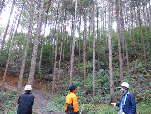 平成30年度高知県小規模林業推進協議会第２回協議会