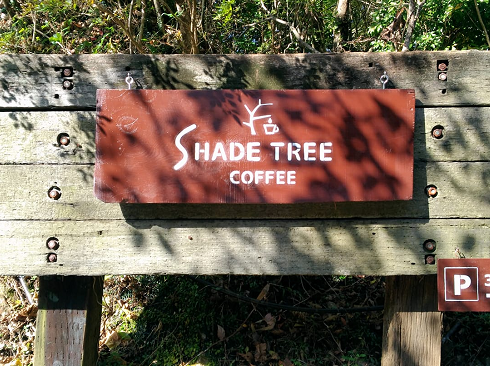 SHADE TREE Coffee