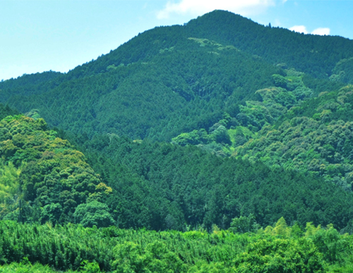 令和５年度高知県小規模林業推進協議会通常総会